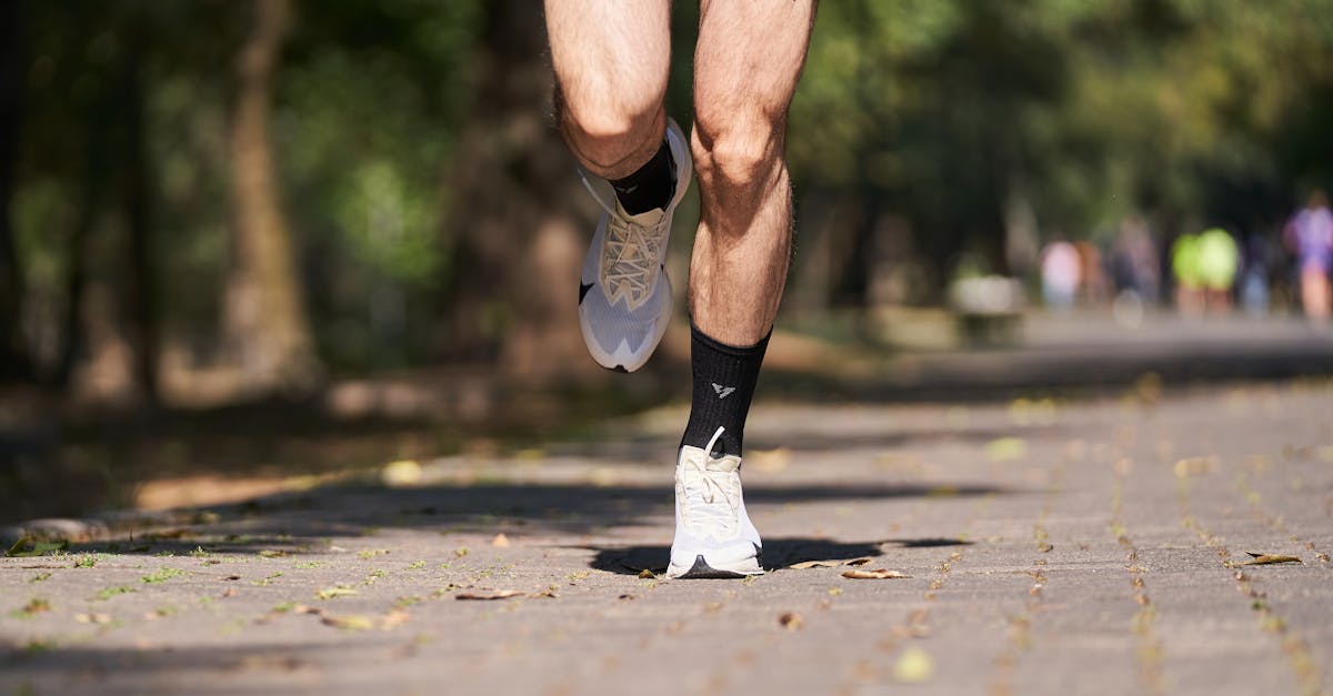 découvrez les meilleures chaussures de trail running en 2026 pour allier confort, performance et endurance lors de vos courses en pleine nature.