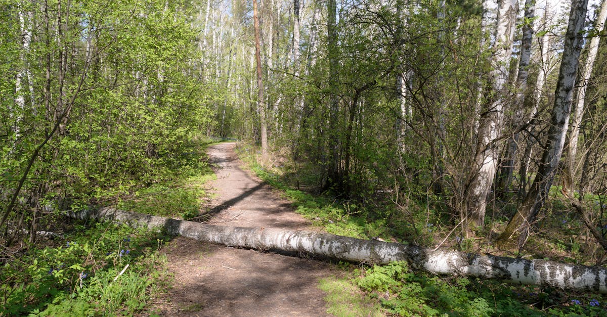 découvrez les erreurs courantes en trail running et apprenez comment les éviter pour améliorer vos performances et profiter pleinement de vos sorties en nature.