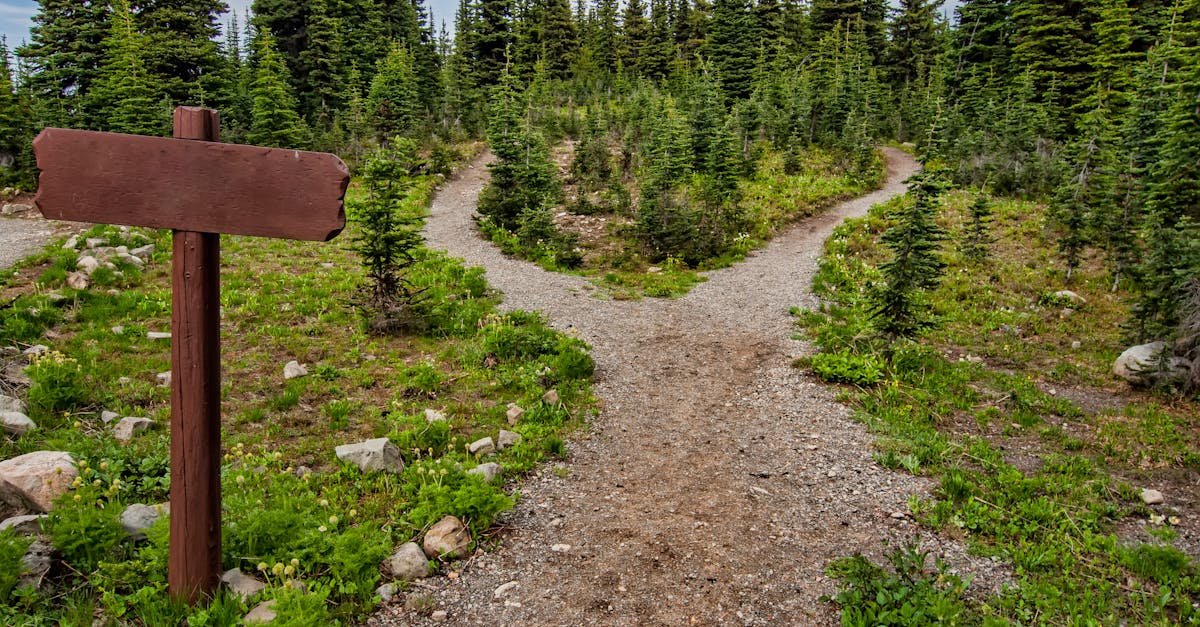 découvrez les erreurs courantes à éviter lors de la pratique du trail pour améliorer votre performance et profiter pleinement de vos courses en nature.