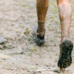 découvrez nos bâtons de trail running, légers et robustes, conçus pour améliorer votre performance et stabilité sur tous les terrains.