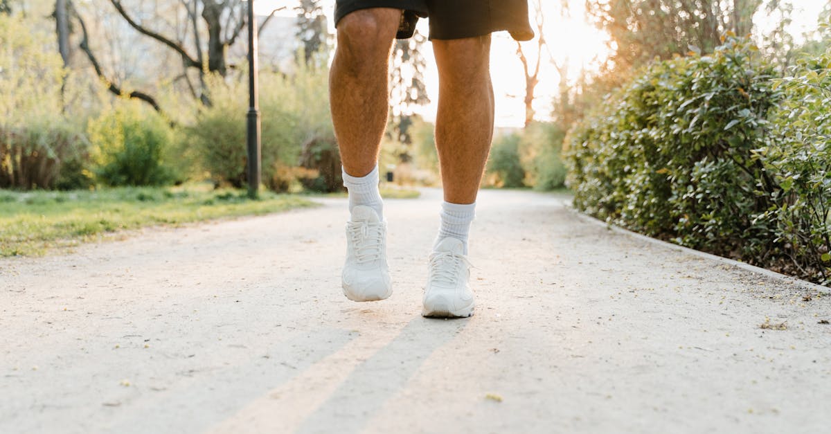 découvrez notre sélection de chaussures de trail running alliant confort, résistance et adhérence pour vos courses en plein air sur tous les terrains.