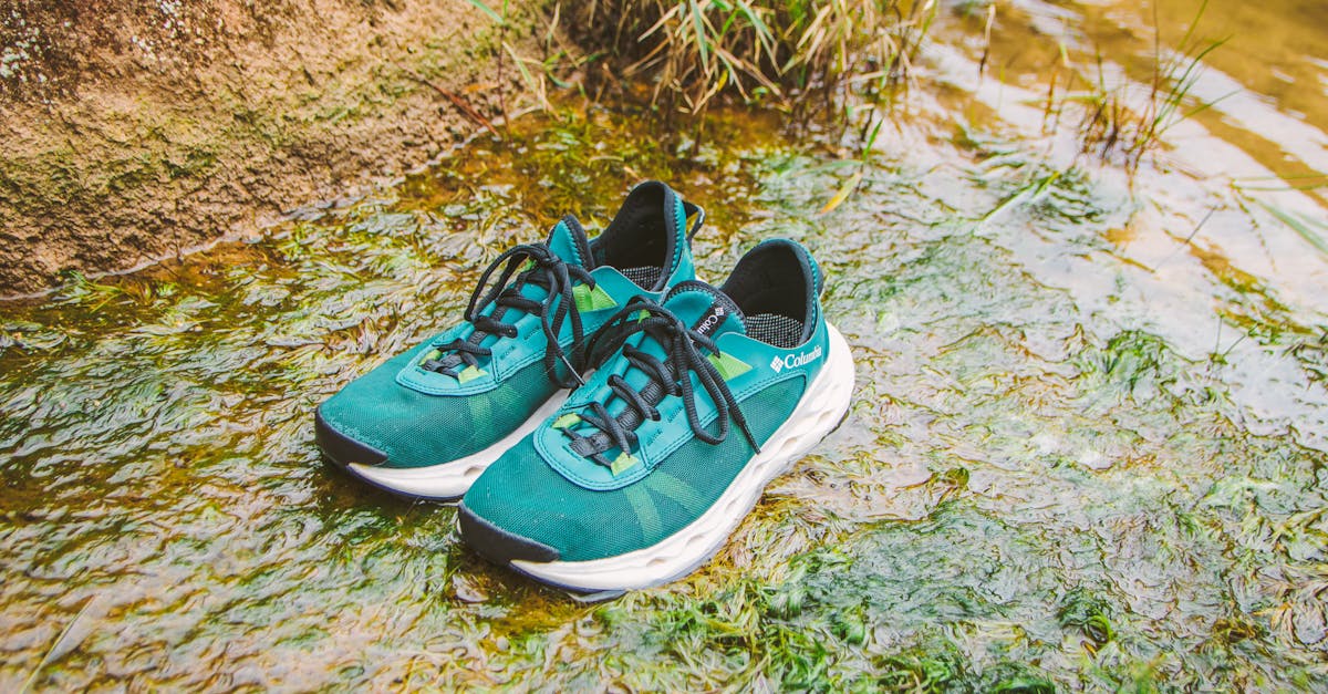 découvrez notre sélection de chaussures de trail running alliant confort, adhérence et durabilité pour vos aventures en pleine nature.