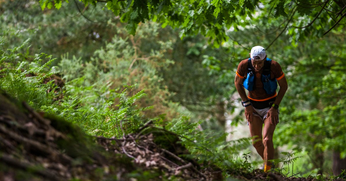 préparez-vous efficacement pour le trail avec nos conseils d'entraînement adaptés, techniques de course en nature et programmes personnalisés pour tous les niveaux.