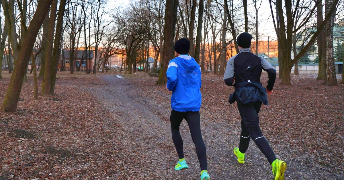 découvrez notre programme d'entraînement trail pour améliorer votre endurance, votre technique et profiter pleinement de la course en nature.