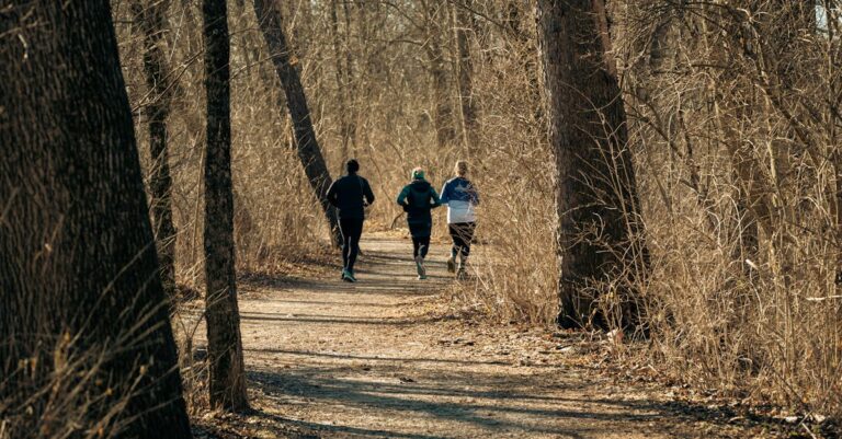améliorez vos performances en trail running grâce à nos conseils et programmes d'entraînement adaptés à tous les niveaux.