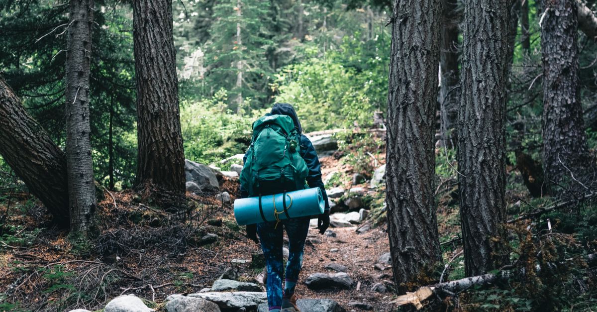 découvrez l'équipement essentiel pour les débutants en trail : chaussures, vêtements et accessoires pour débuter en toute sécurité et confort.
