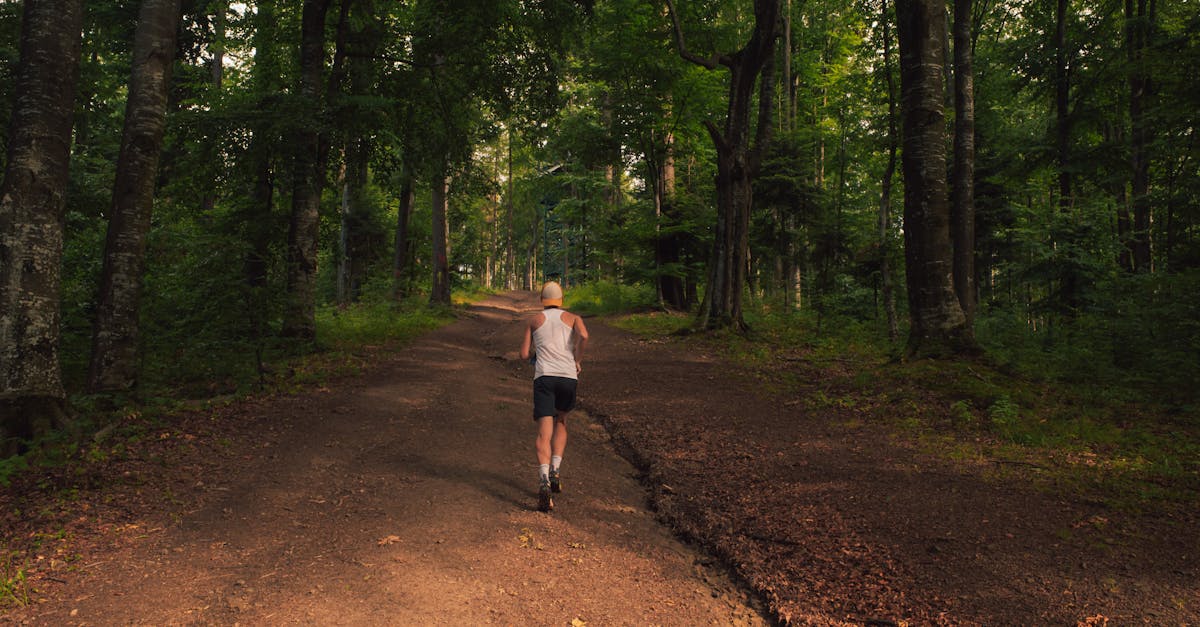 découvrez des conseils essentiels pour assurer votre sécurité lors de vos courses nocturnes en trail, avec des astuces pour bien vous équiper et rester visible.