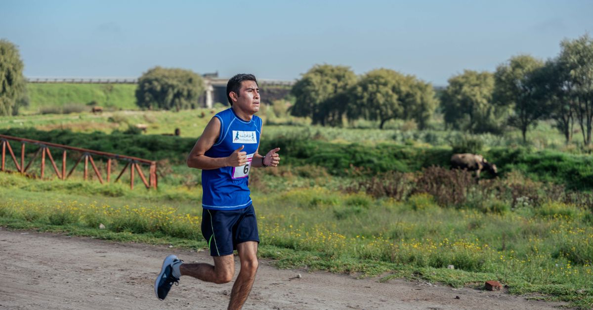 découvrez les différences entre le road running et le trail running, leurs avantages, leurs équipements spécifiques, et comment choisir la discipline qui vous convient le mieux.