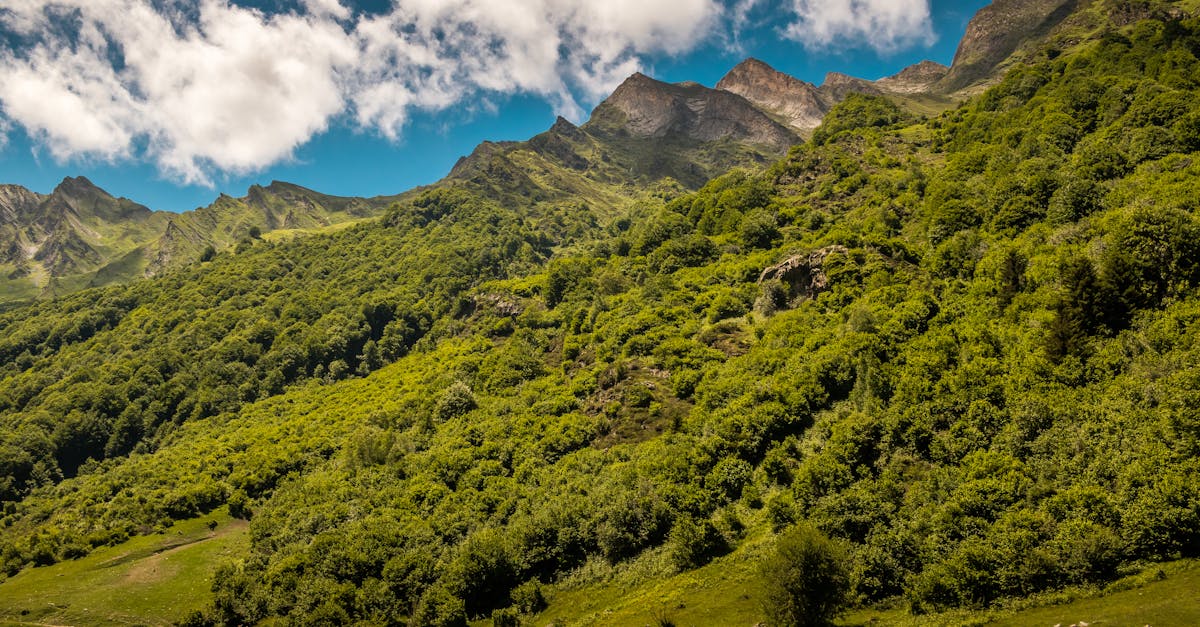 découvrez les meilleures courses de trail en france en 2026, avec un guide complet des événements incontournables pour les amateurs de course en pleine nature.