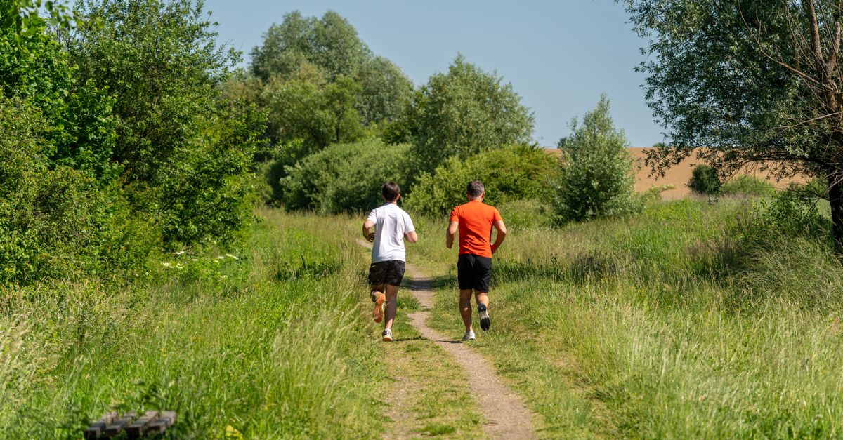 découvrez le trail running, une course nature alliant endurance et paysages splendides, idéale pour les amateurs de plein air et d'aventure.