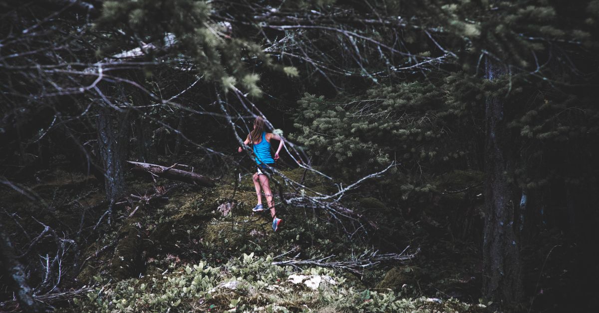 découvrez le trail running, une course nature alliant endurance et aventure. explorez des sentiers variés tout en profitant du plein air.