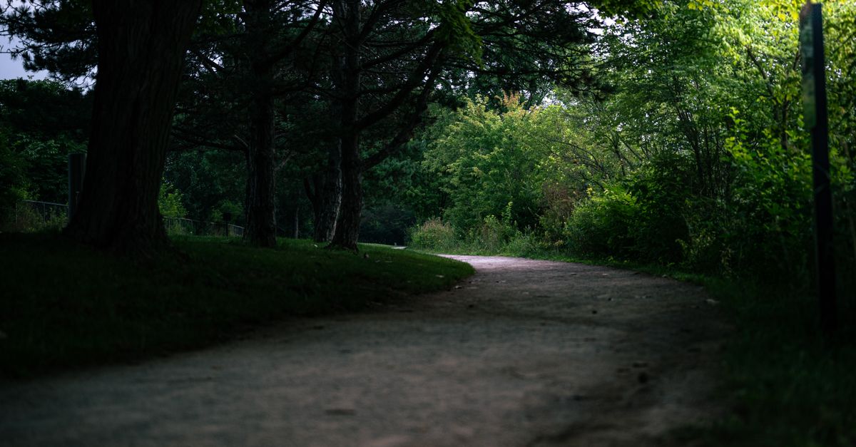 découvrez l'urban trail, une course en milieu urbain alliant sport, découverte et défi à travers les rues et monuments de la ville.
