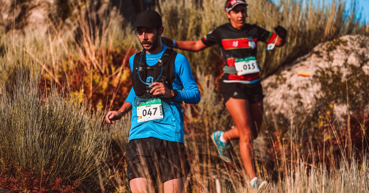 découvrez l'équipement essentiel pour la course en sentier hivernale : vêtements chauds, chaussures adaptées et accessoires pour affronter le froid en toute sécurité.