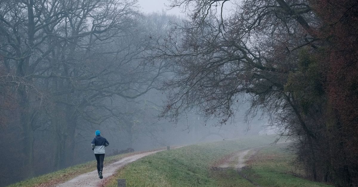 découvrez l'équipement essentiel pour la course en trail hivernale : vêtements chauds, chaussures adaptées et accessoires pour affronter le froid en toute sécurité.