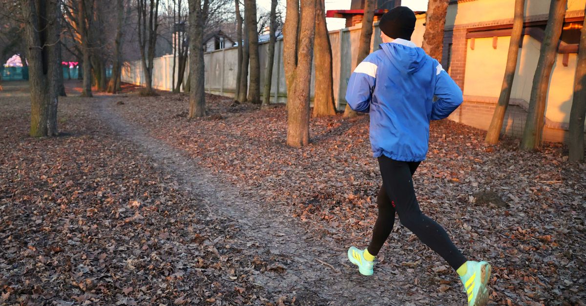 découvrez les bienfaits du trail running sur la santé, améliorez votre endurance, renforcez votre corps et profitez d'une activité en pleine nature pour un bien-être optimal.