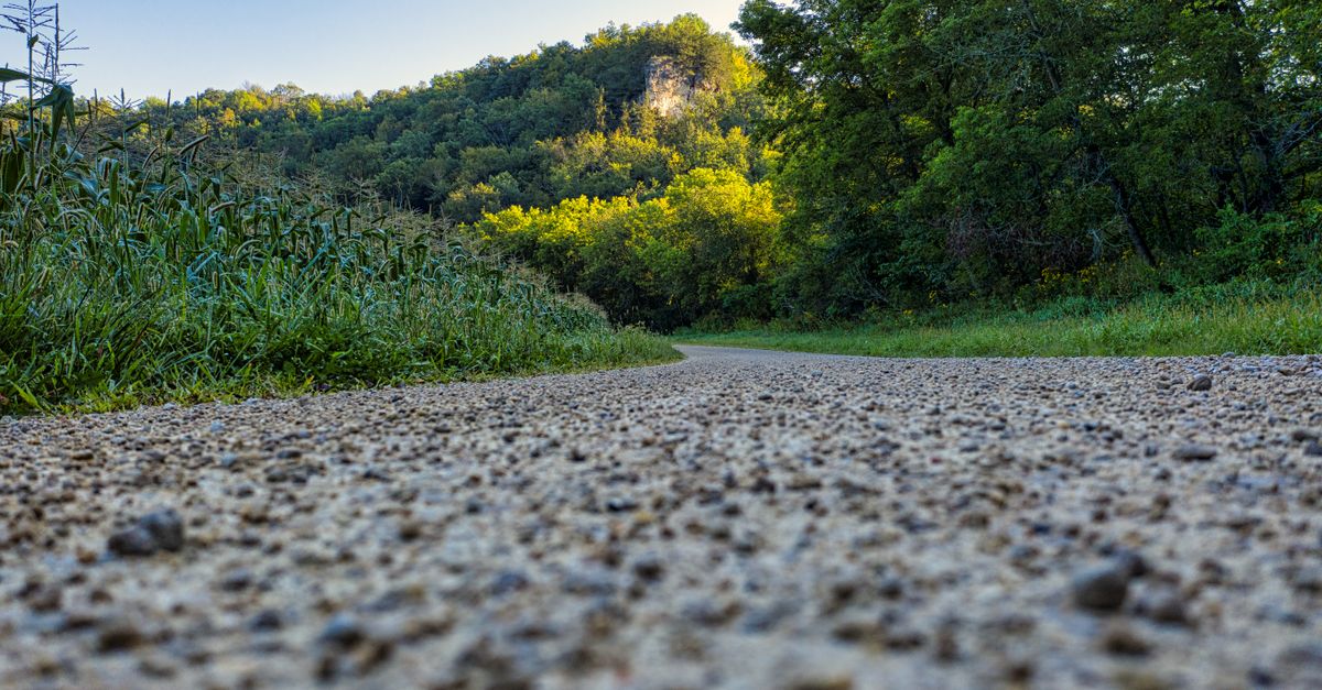 découvrez les différents types de surfaces de sentiers pour choisir celle qui convient le mieux à vos aventures en plein air et activités de trail.