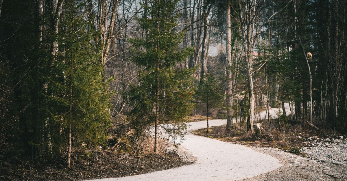 découvrez les différents types de surfaces de sentiers pour le trail, leurs caractéristiques et conseils pour choisir celle qui vous convient le mieux.
