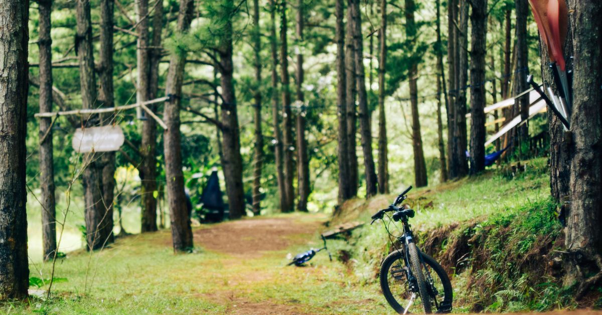 découvrez notre trail weekend : une aventure sportive en pleine nature pour tous les passionnés de course en plein air. rejoignez-nous pour un week-end de défis, de paysages magnifiques et de convivialité.