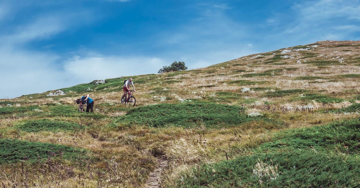 découvrez notre sélection de trails pour un weekend sportif et nature. partez à l'aventure et profitez de parcours adaptés à tous les niveaux, au cœur de paysages magnifiques.