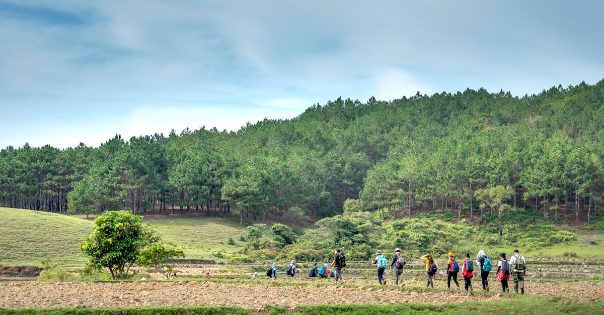 découvrez notre trail weekend : un événement parfait pour les passionnés de course en pleine nature, alliant défis sportifs et convivialité le temps d'un week-end inoubliable.