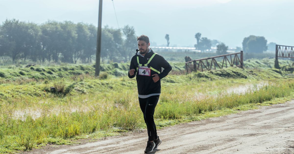 découvrez des conseils essentiels pour le trail running afin d'améliorer votre endurance, votre technique et votre sécurité en pleine nature.