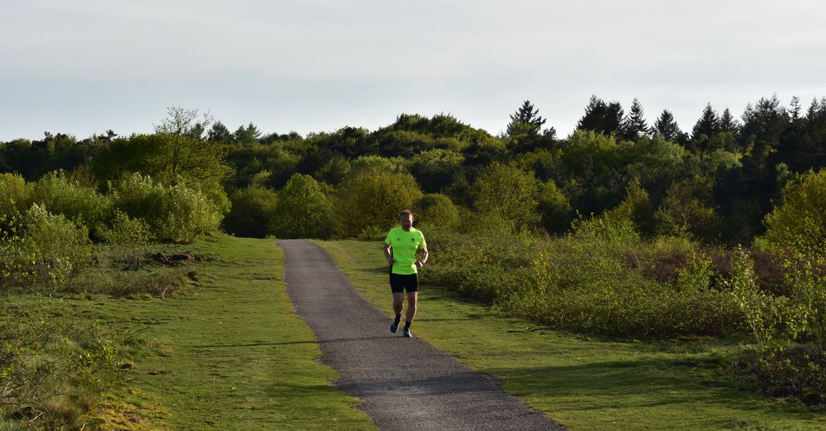 découvrez des conseils essentiels pour le trail running, améliorer votre endurance, choisir le bon équipement et profiter pleinement de vos courses en pleine nature.