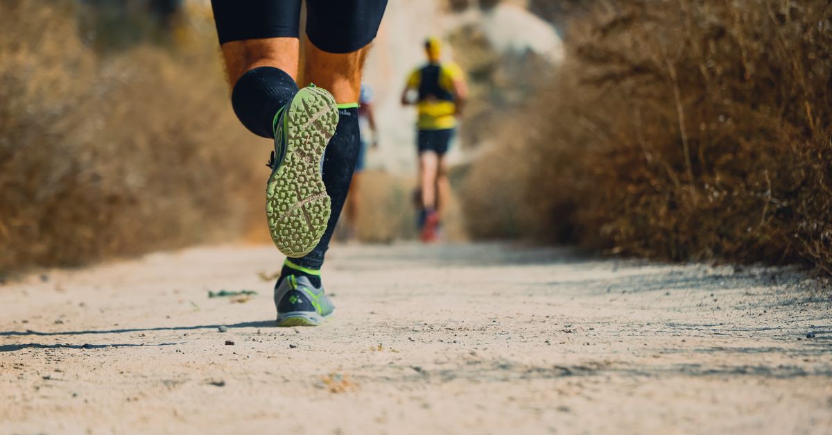 découvrez un programme d'entraînement complet pour le trail, adapté à tous les niveaux, afin d'améliorer votre endurance, votre technique et votre préparation pour les courses en nature.