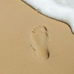 découvrez les principes du « leave no trace » pour profiter de la nature tout en limitant votre impact sur l’environnement.