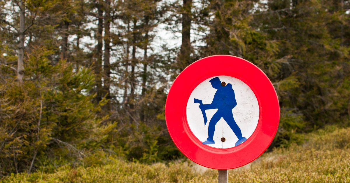 découvrez comment ne laisser aucune trace et préserver la nature grâce à des gestes simples et responsables lors de vos activités en plein air.