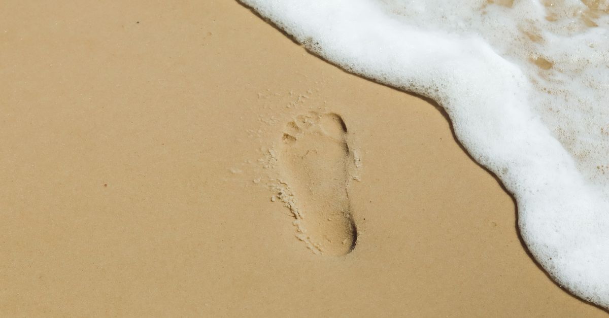 découvrez les principes du « leave no trace » pour profiter de la nature tout en limitant votre impact sur l’environnement.